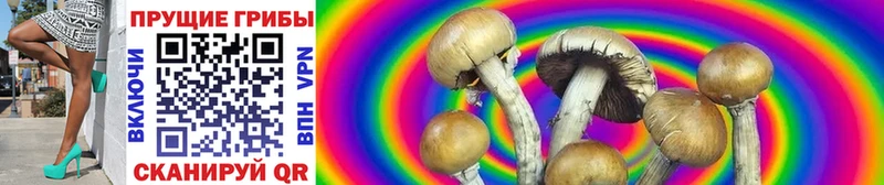 Псилоцибиновые грибы Cubensis  продажа наркотиков  это Telegram  Полтавская 